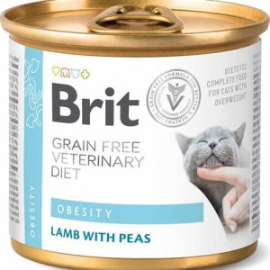 BRIT GF VET DIETS CAT CAN OBESITY 200GR