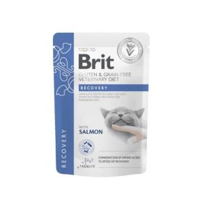 BRIT GF VD CAT POUCH FILLETS IN GRAVY RECOVERY 85 G X UND