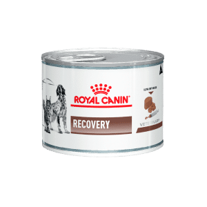 ROYAL CANIN - RECOVERY LATA 195GR