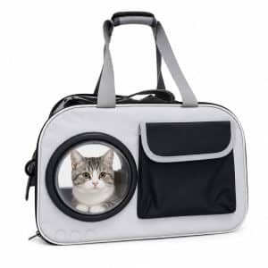 TRANSPORTADOR CAPSULA